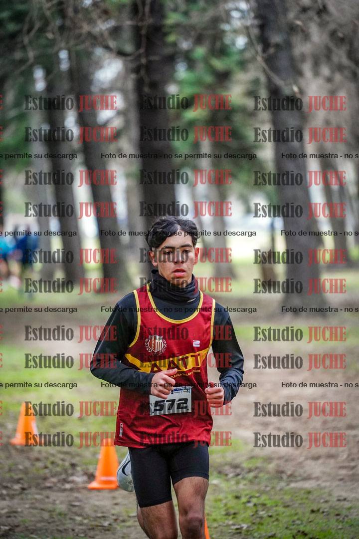 Fotos en el circuito