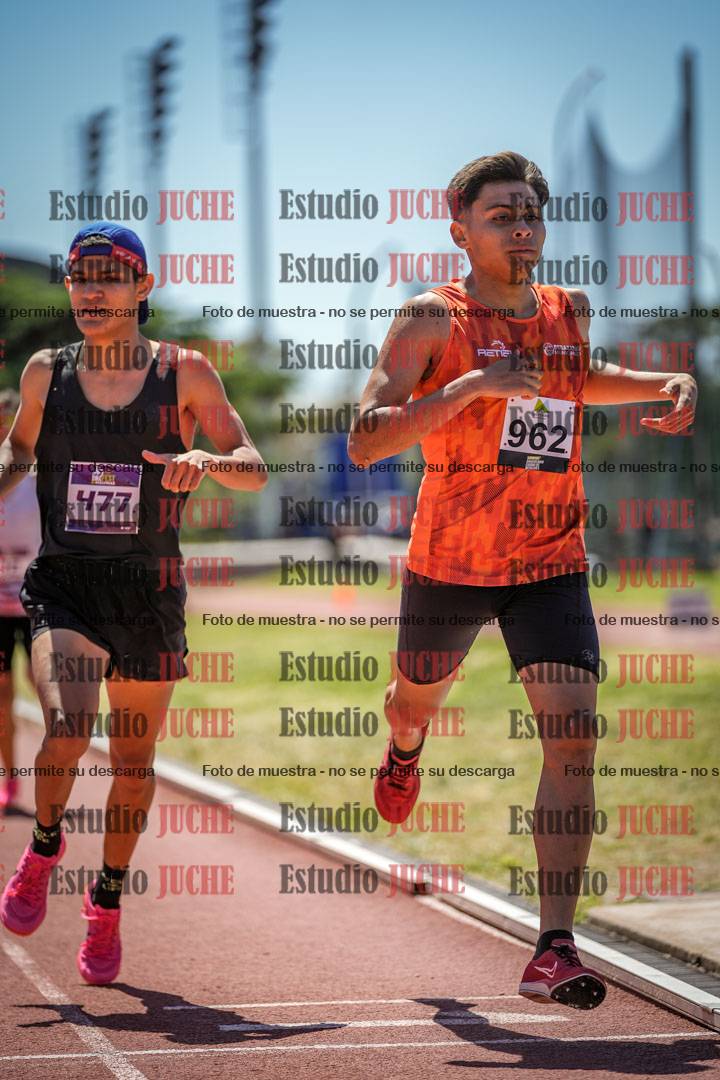 Fotos de los 800 m llanos de varones