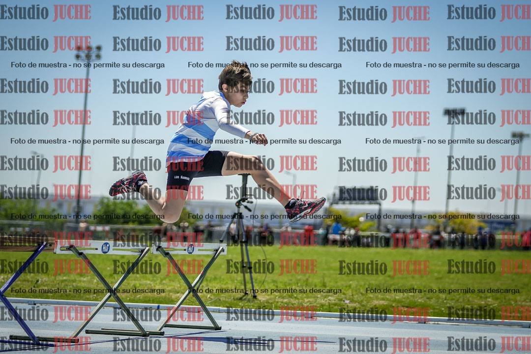 Fotos de los 60 m con vallas de varones