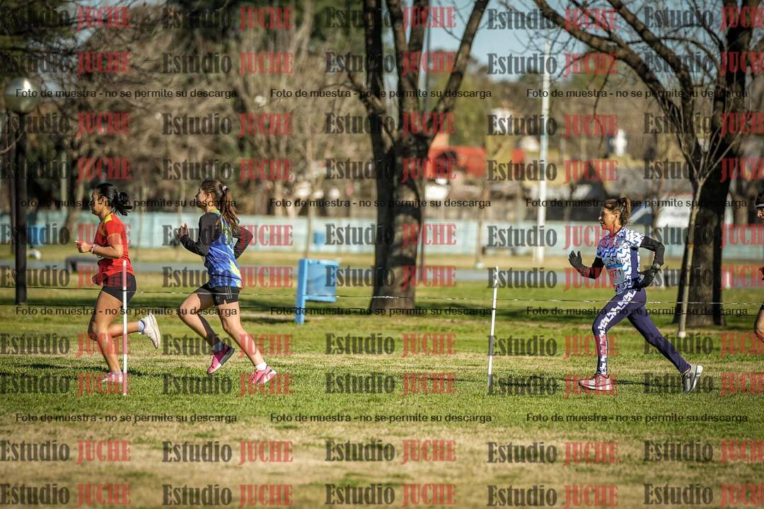 Fotos en el circuito