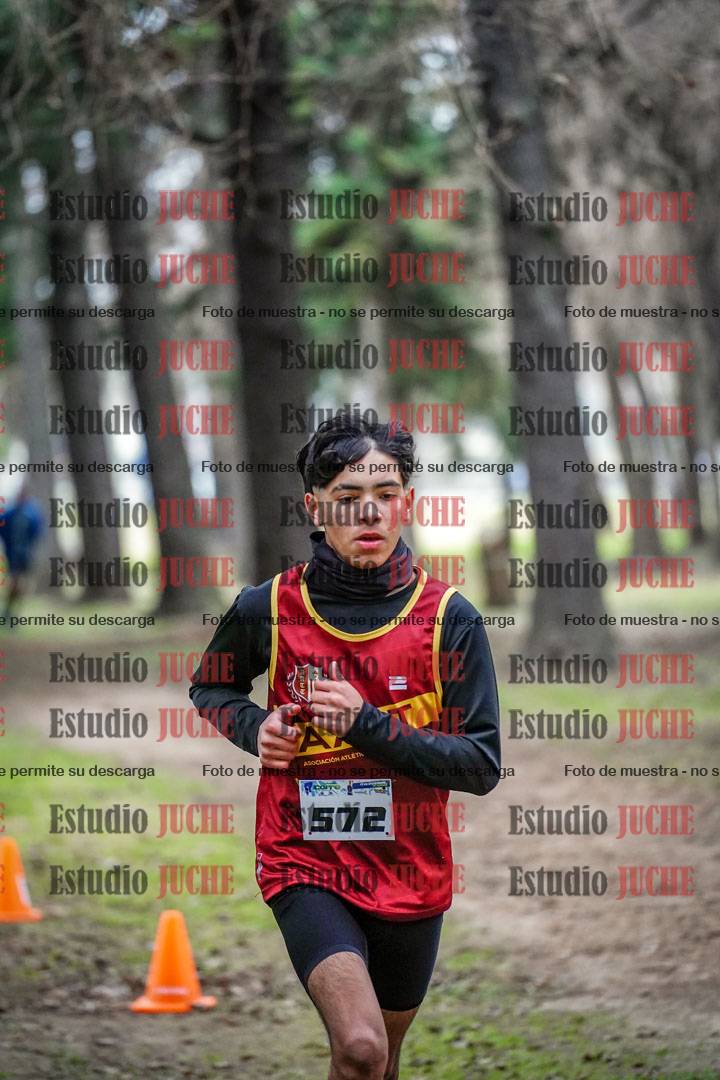 Fotos en el circuito
