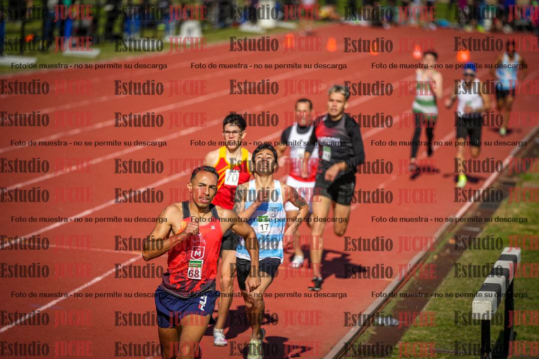 Fotos de los 800 m llanos de varones