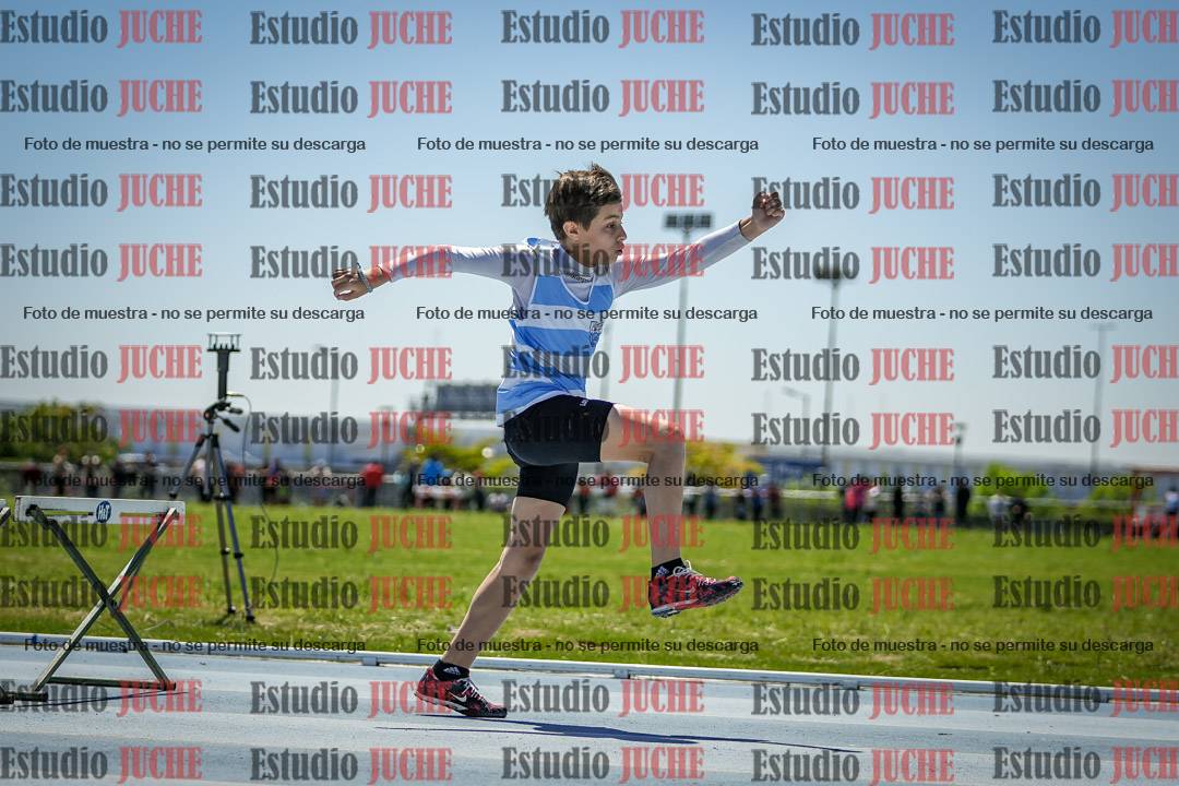 Fotos de los 60 m con vallas de varones