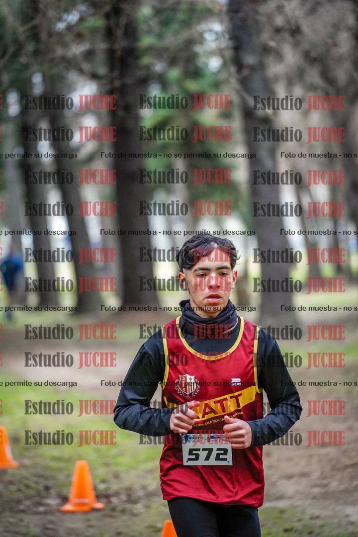 Fotos en el circuito