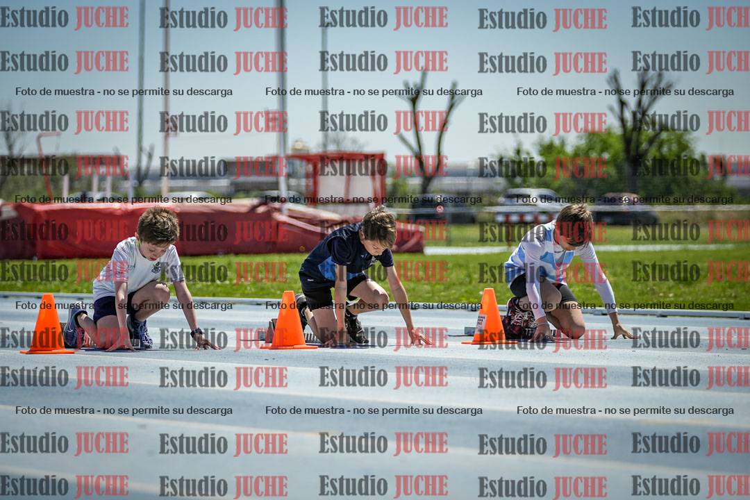 Fotos de los 60 m con vallas de varones