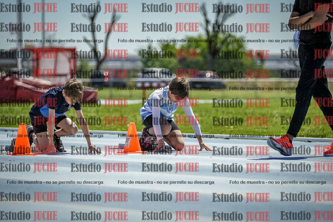 Fotos de los 60 m con vallas de varones