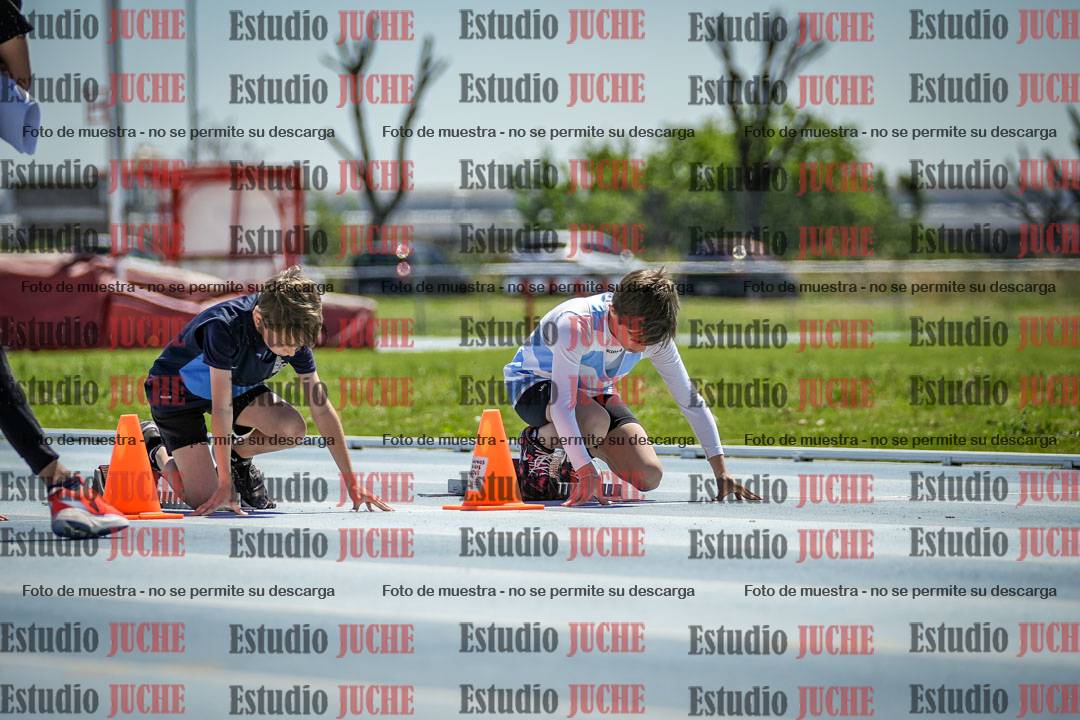 Fotos de los 60 m con vallas de varones