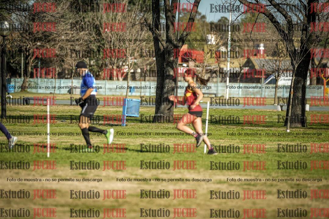 Fotos en el circuito