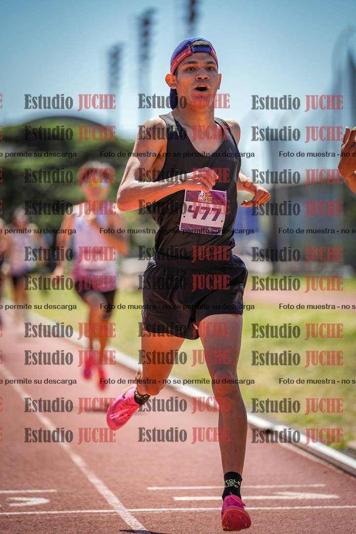 Fotos de los 800 m llanos de varones