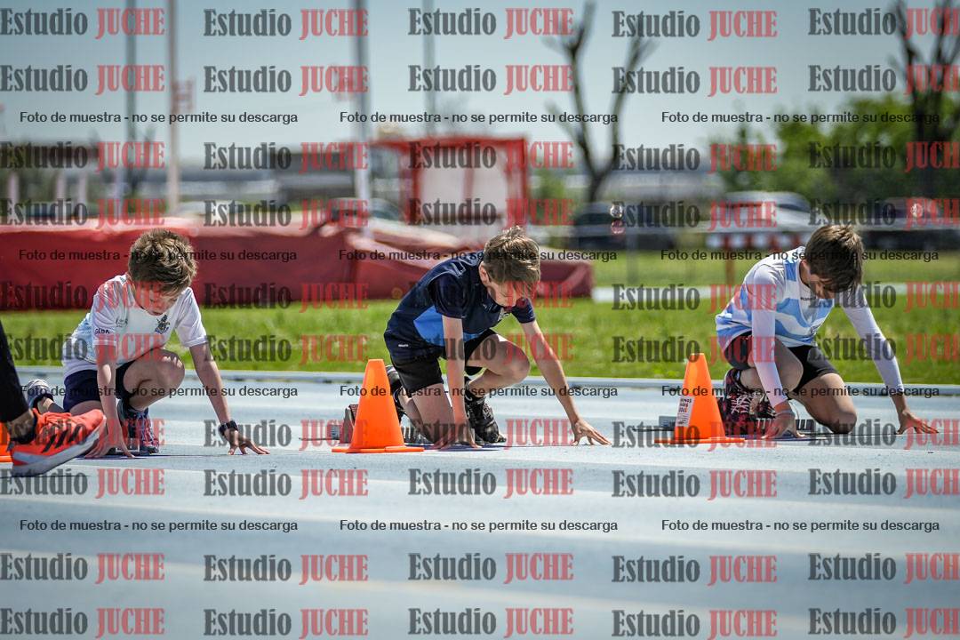 Fotos de los 60 m con vallas de varones