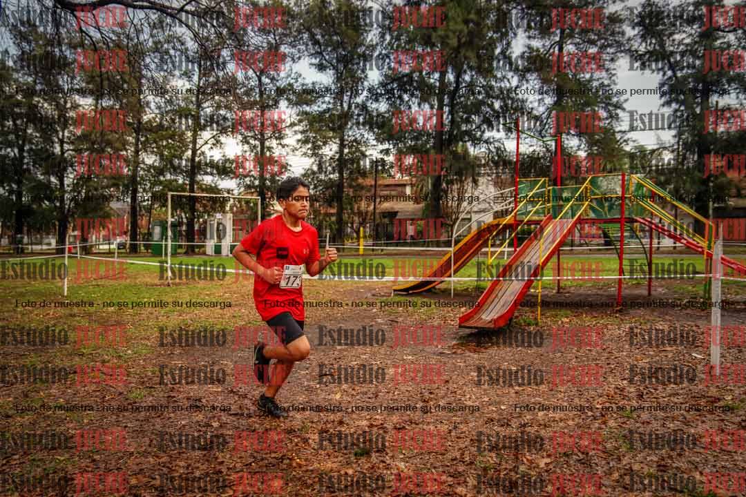 Fotos en el circuito
