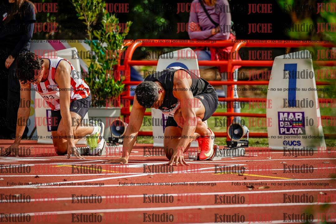Fotos de los 110 m con vallas de varones - FINAL