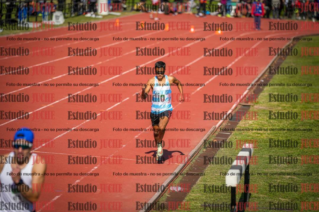 Fotos de los 800 m llanos de varones
