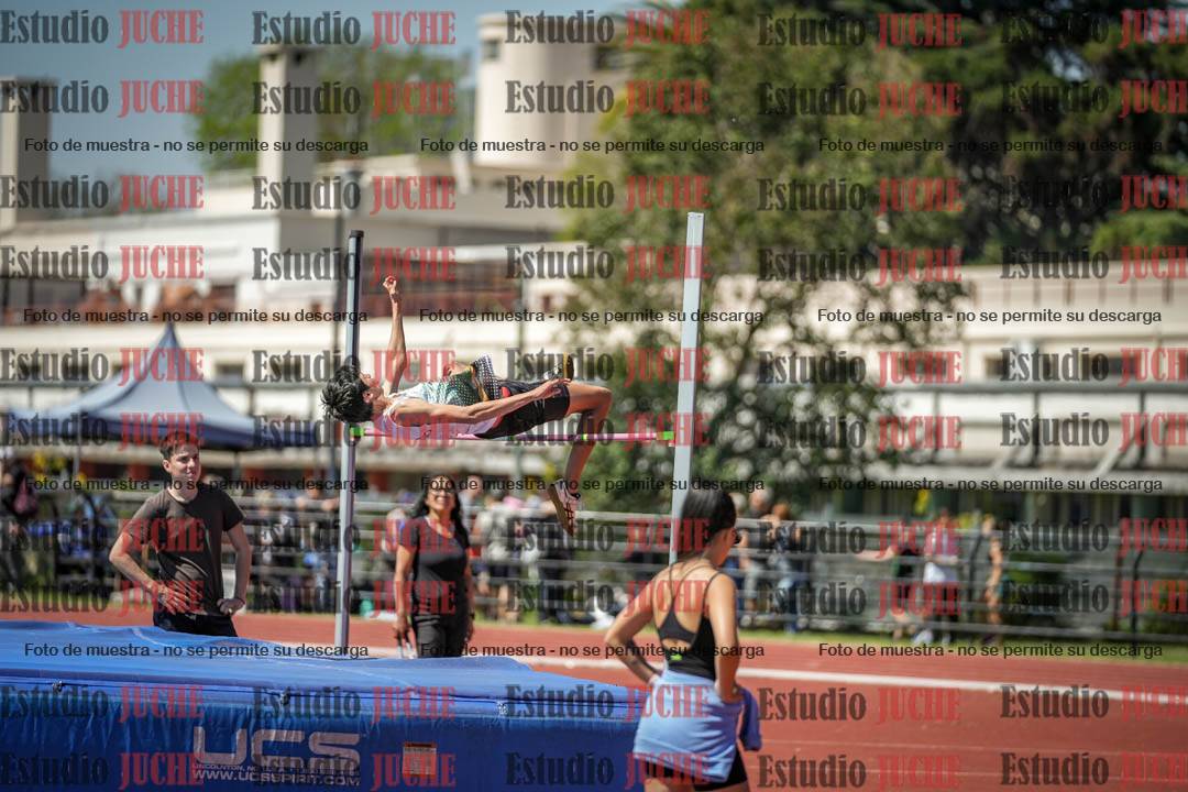 Fotos del salto en alto de varones