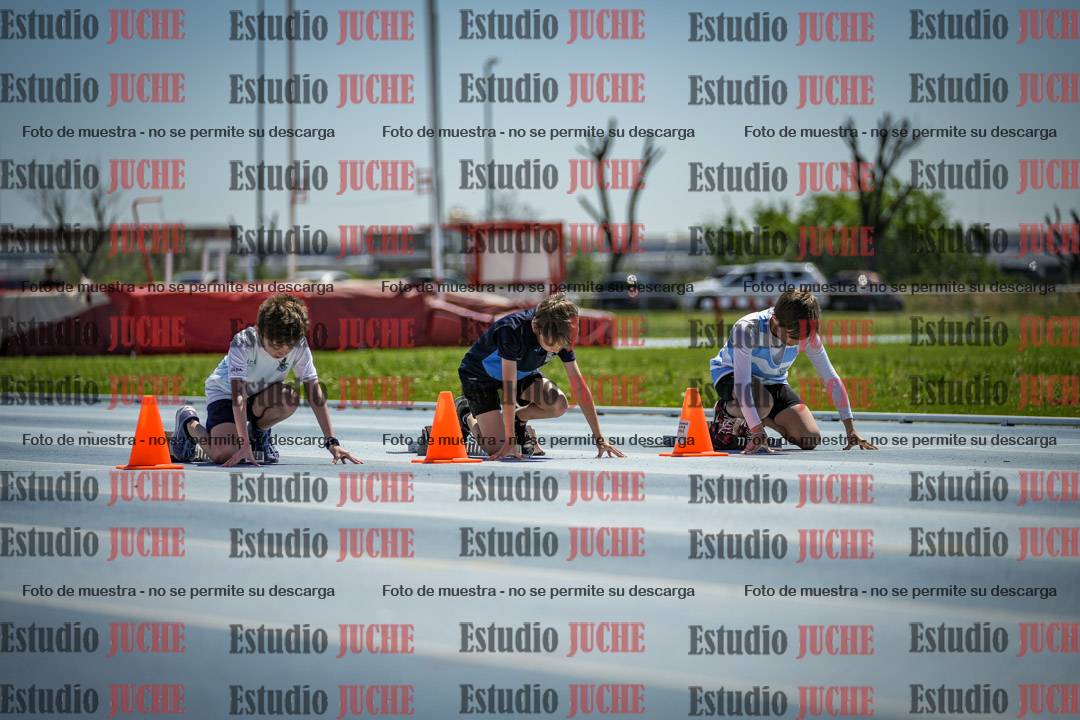 Fotos de los 60 m con vallas de varones