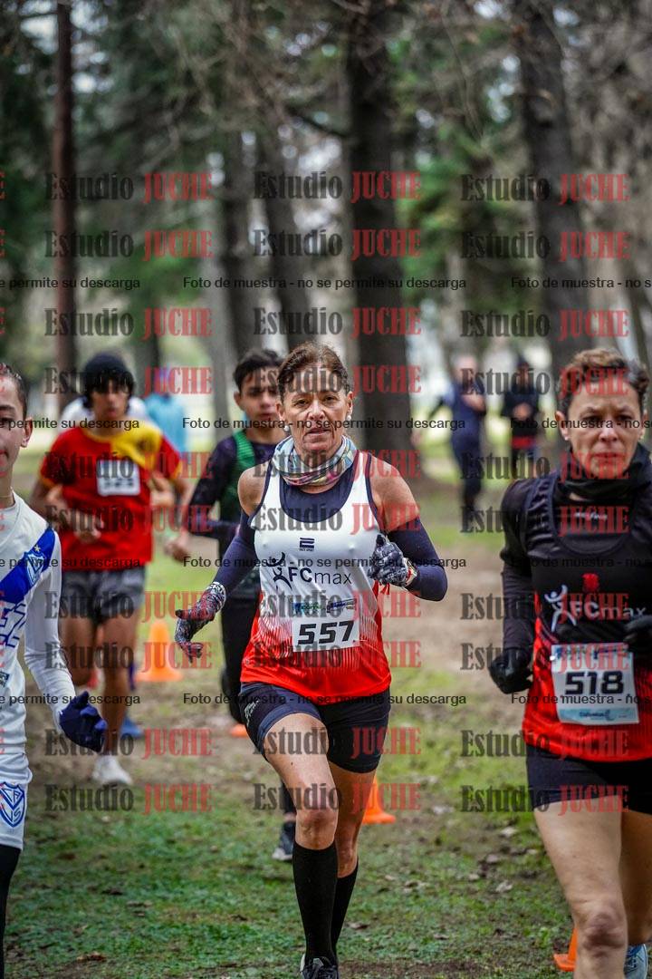 Fotos en el circuito