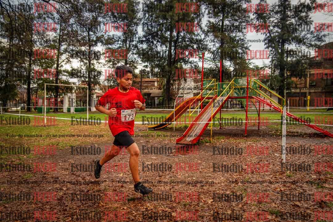 Fotos en el circuito