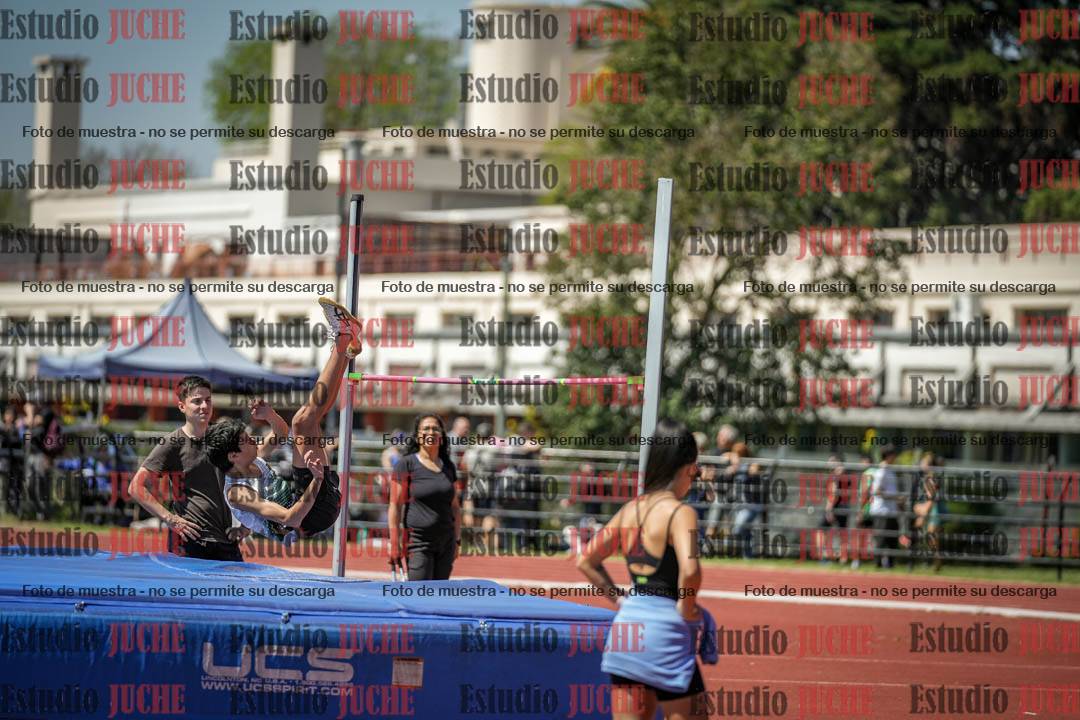 Fotos del salto en alto de varones