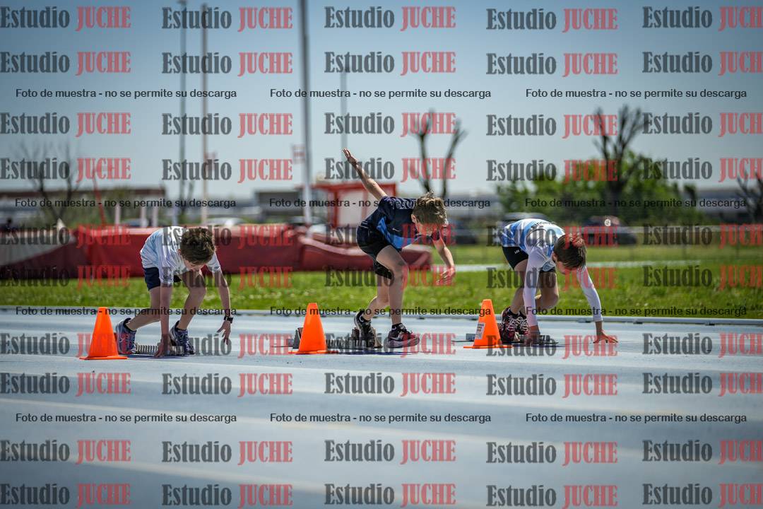 Fotos de los 60 m con vallas de varones