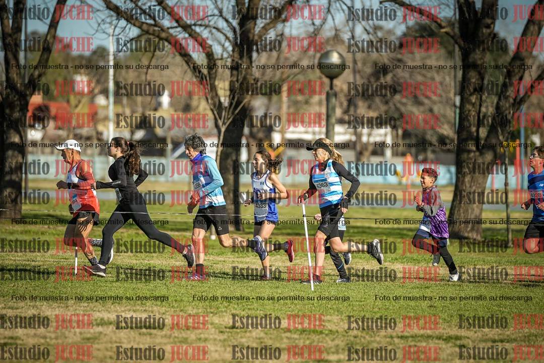 Fotos en el circuito