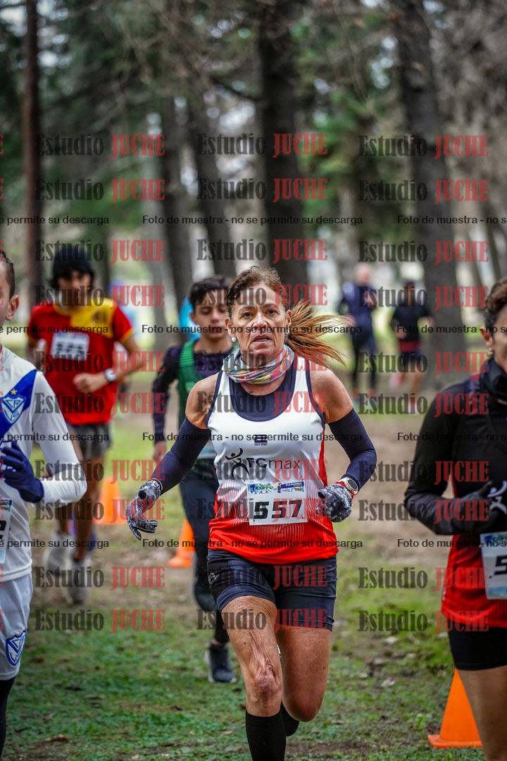 Fotos en el circuito