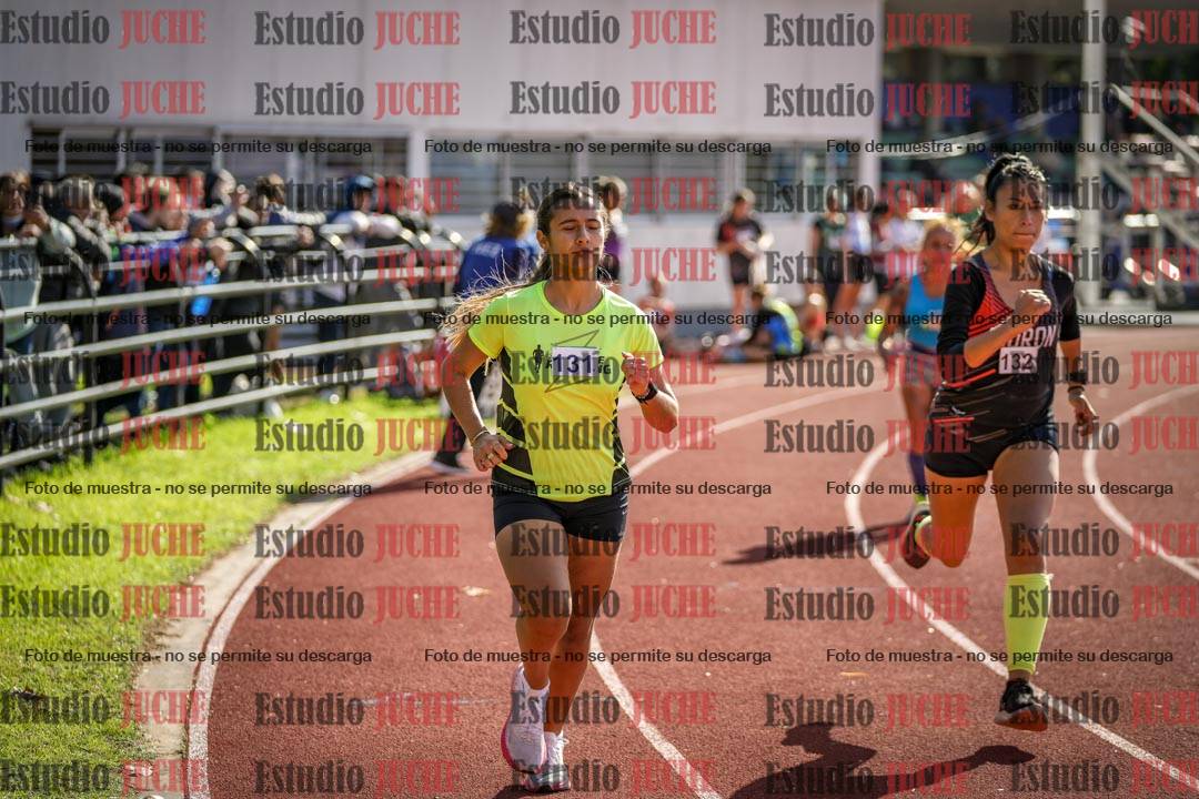 Fotos de los 800 m llanos de mujeres