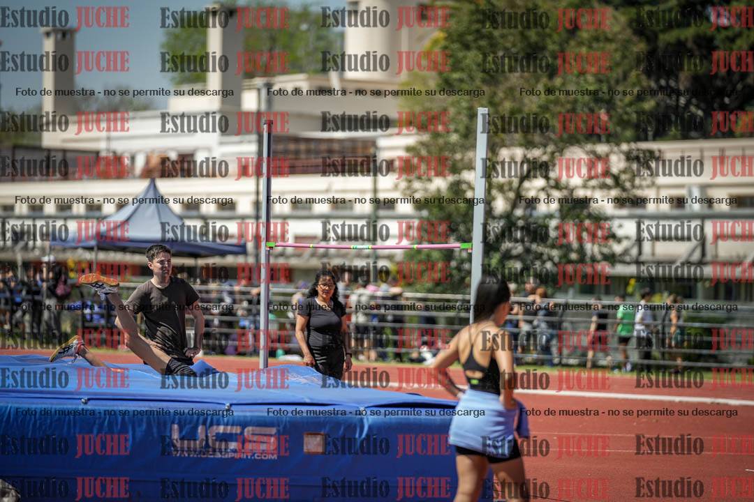 Fotos del salto en alto de varones