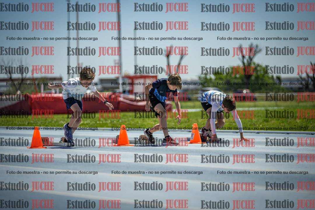 Fotos de los 60 m con vallas de varones