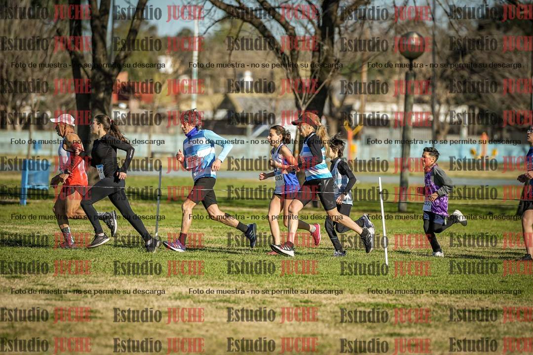 Fotos en el circuito