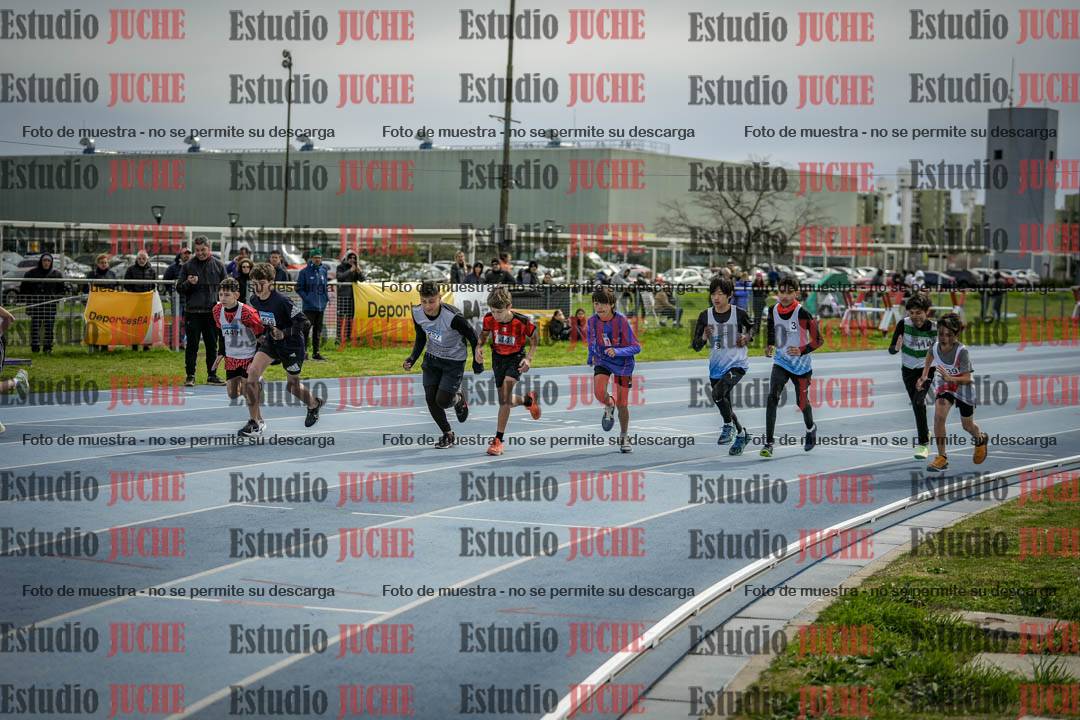 Fotos de los 800 m llanos de varones - U14