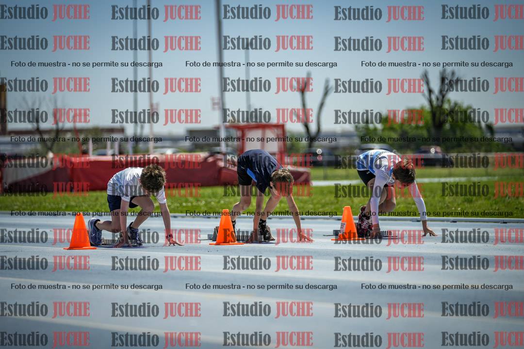 Fotos de los 60 m con vallas de varones