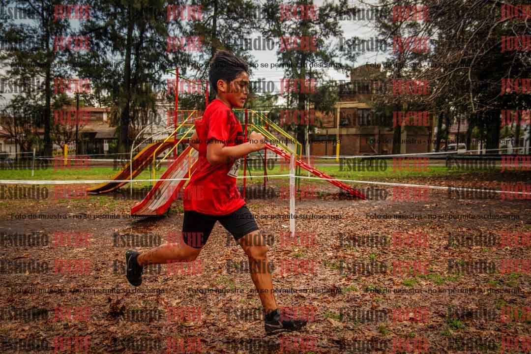Fotos en el circuito