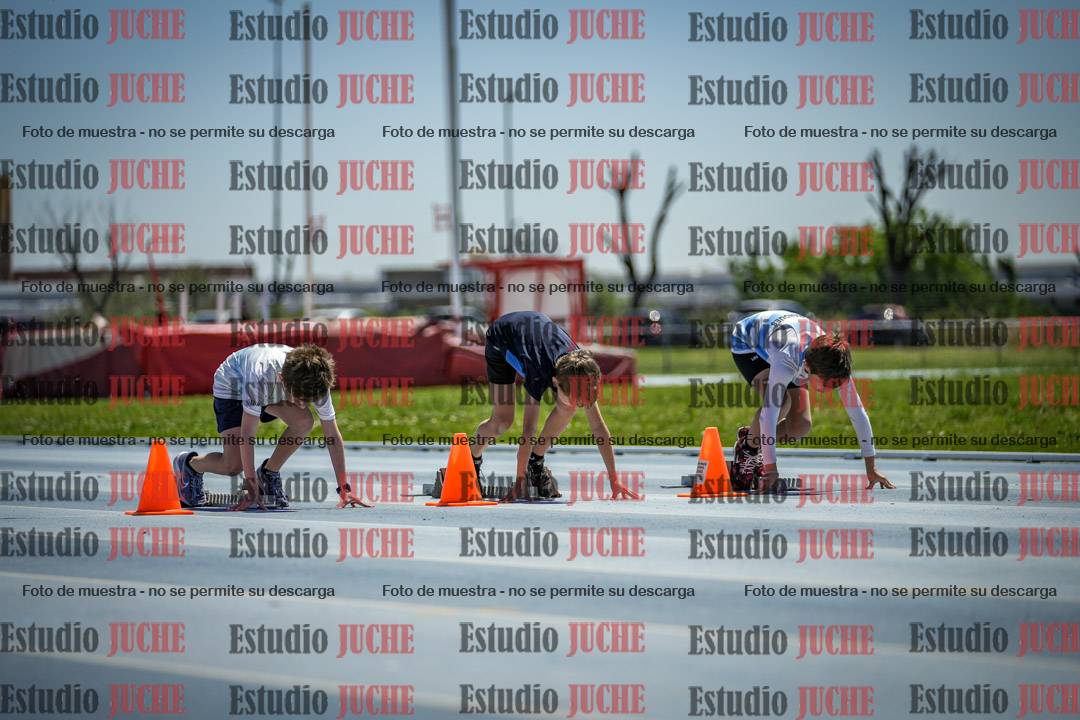 Fotos de los 60 m con vallas de varones