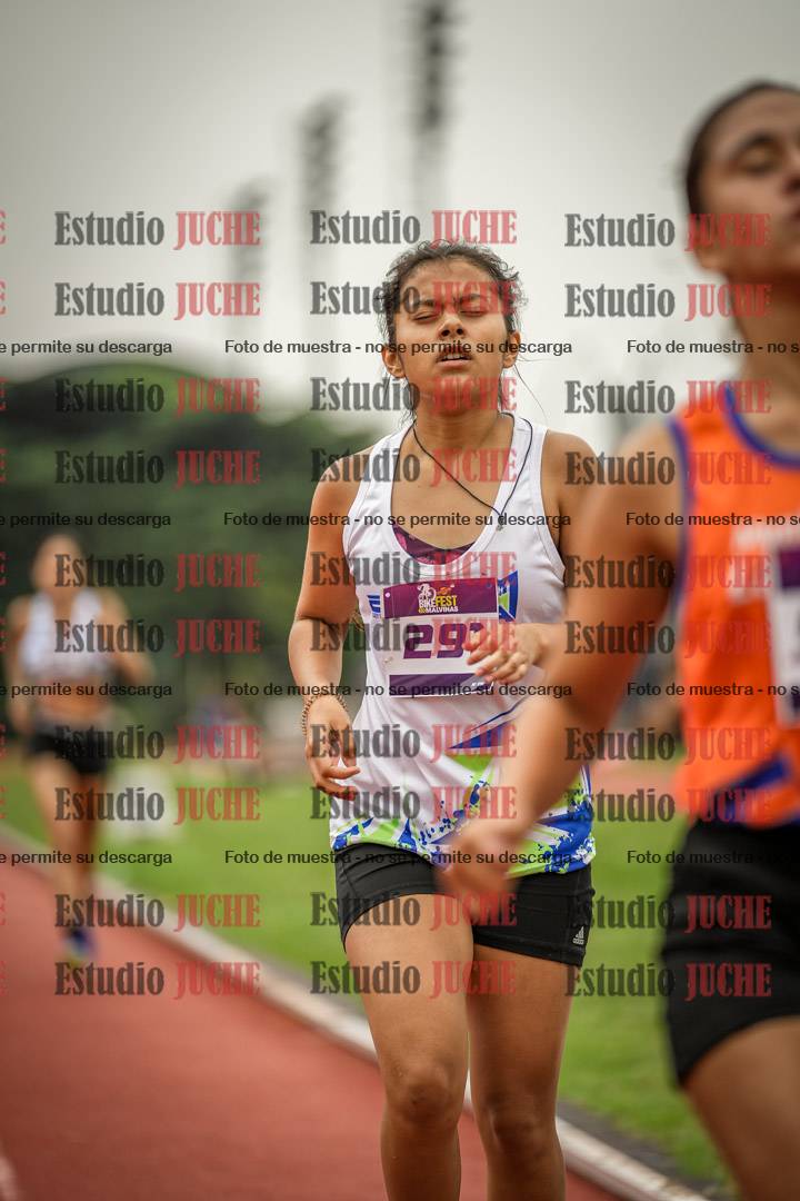Fotos de los 800 m llanos de mujeres