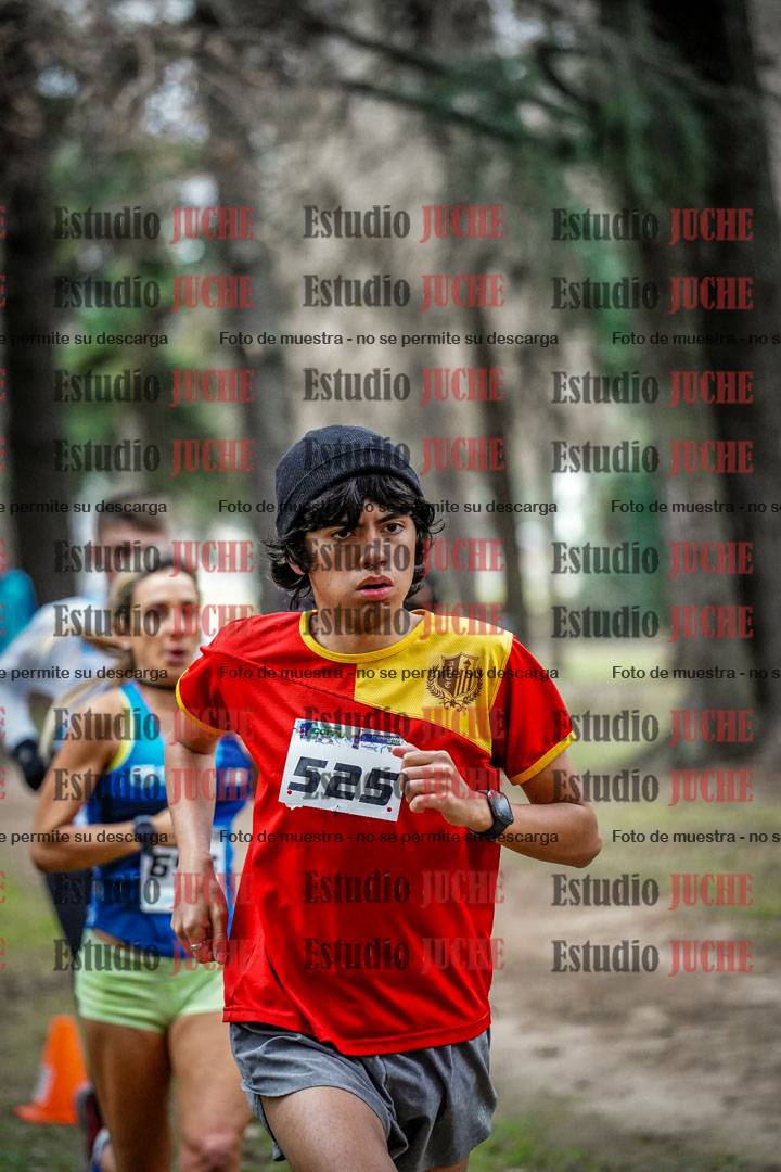Fotos en el circuito