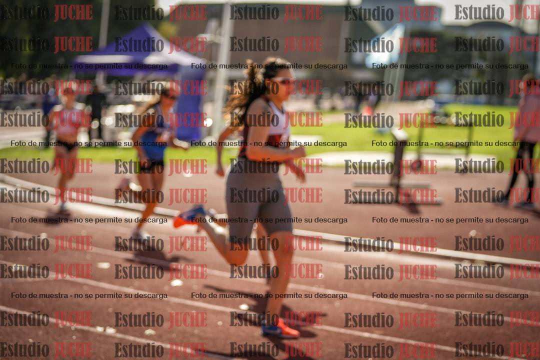 Fotos de los 800 m llanos de mujeres