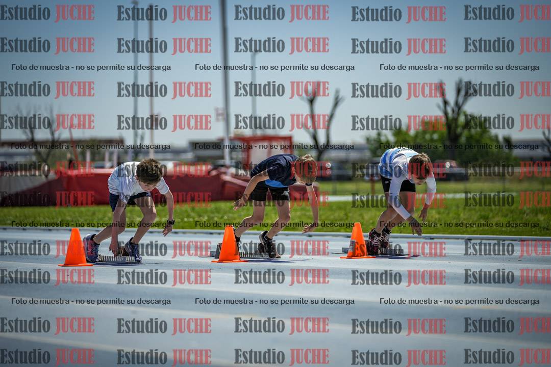 Fotos de los 60 m con vallas de varones