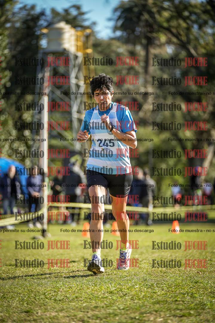 Fotos de la llegada del cross de 6000 m