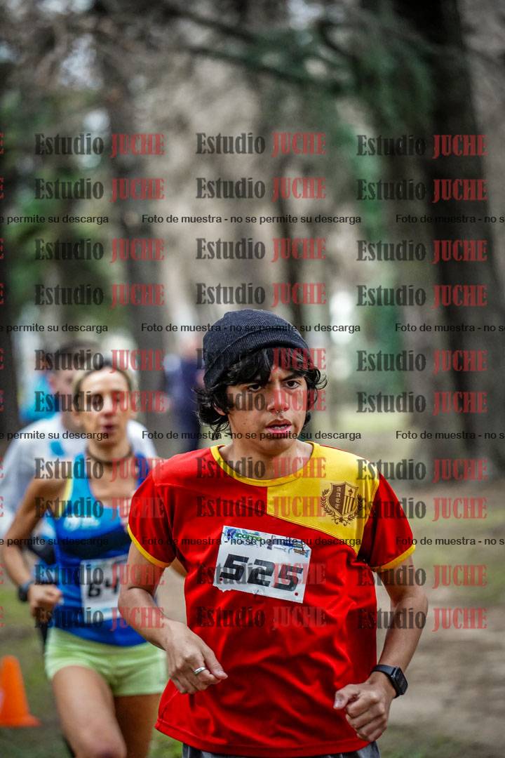 Fotos en el circuito