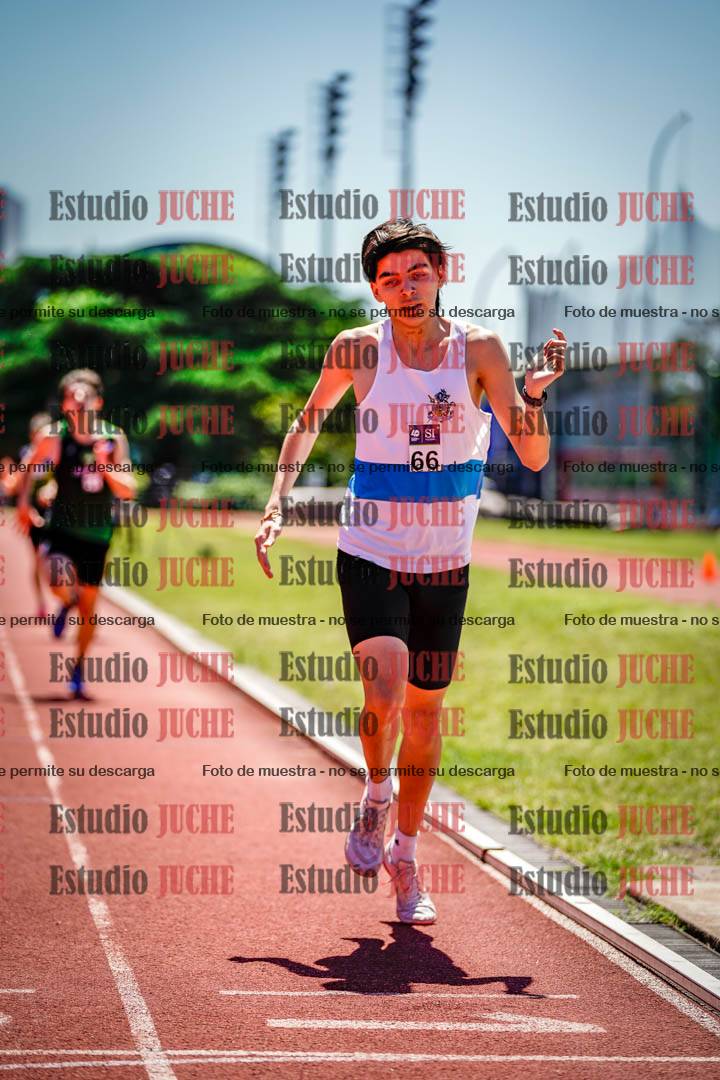 Fotos de los 800 m llanos de varones