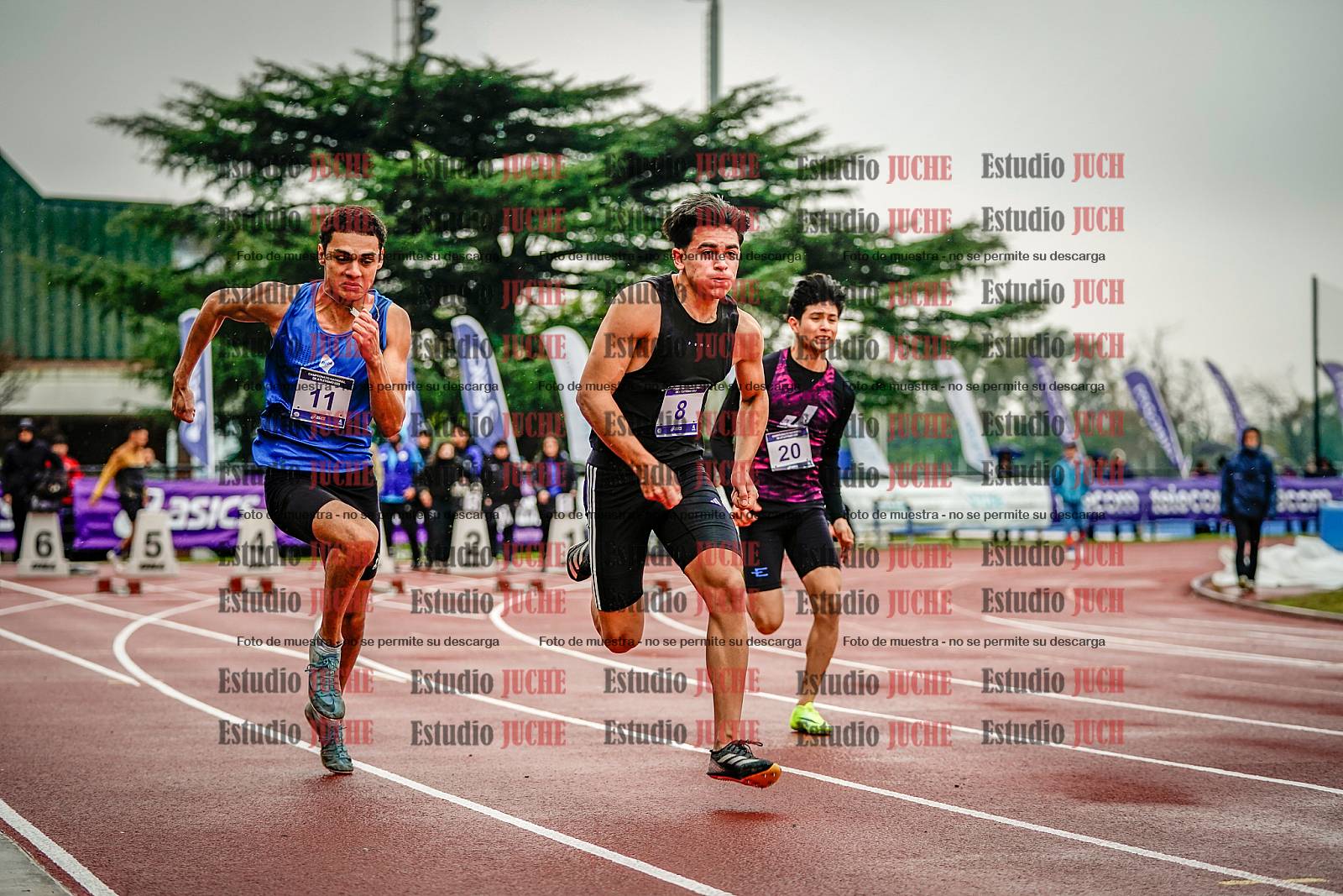 Fotos de los 100 m llanos de varones