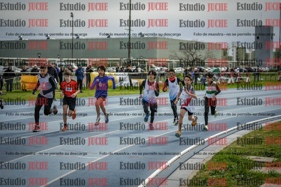 Fotos de los 800 m llanos de varones - U14