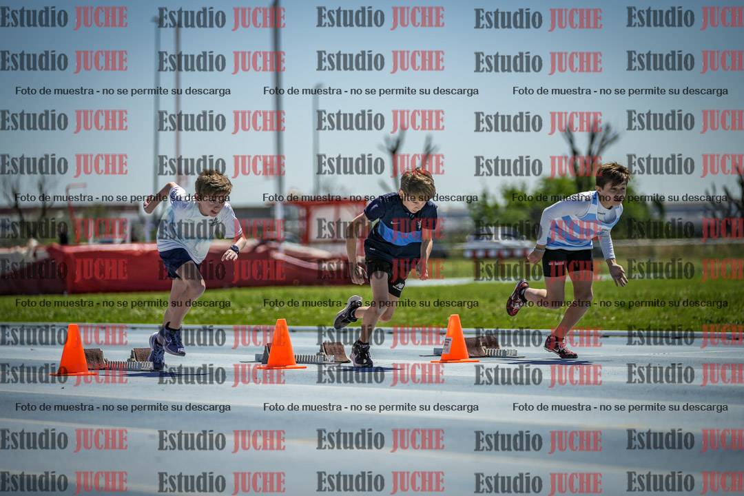 Fotos de los 60 m con vallas de varones
