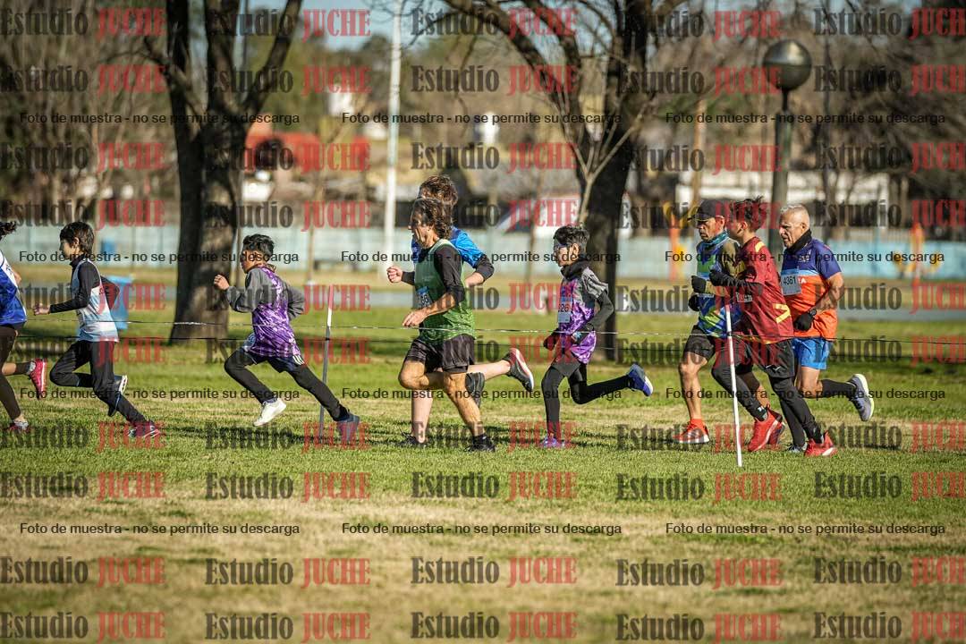 Fotos en el circuito