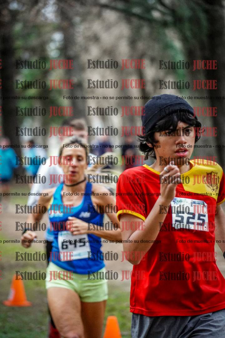 Fotos en el circuito