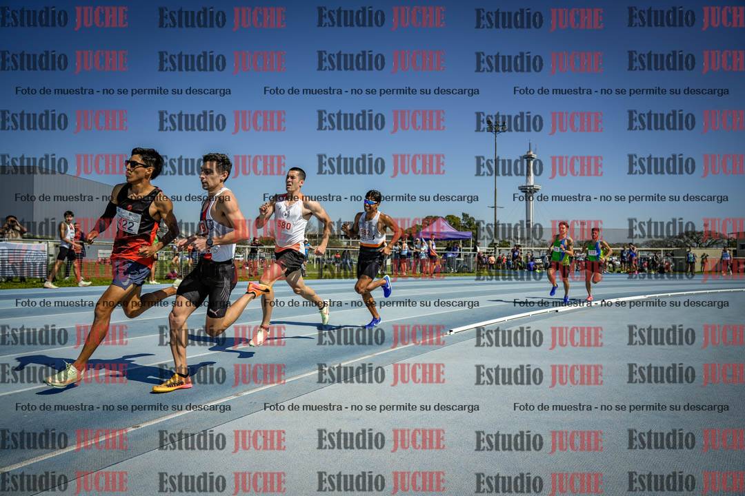 Fotos de los 800 m llanos de varones