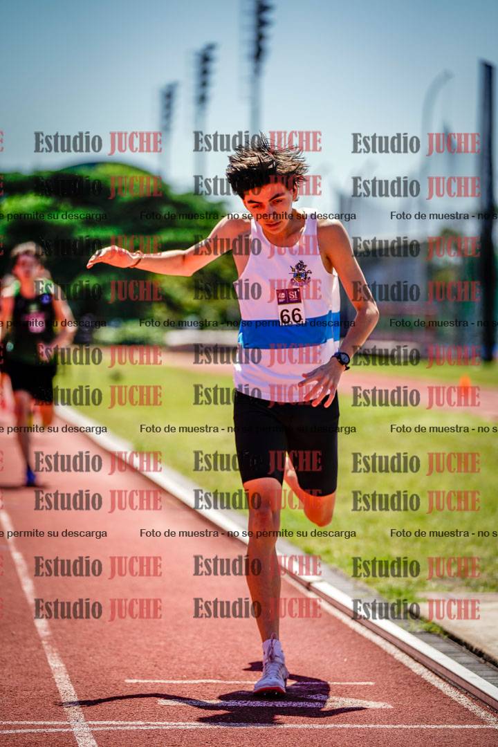 Fotos de los 800 m llanos de varones