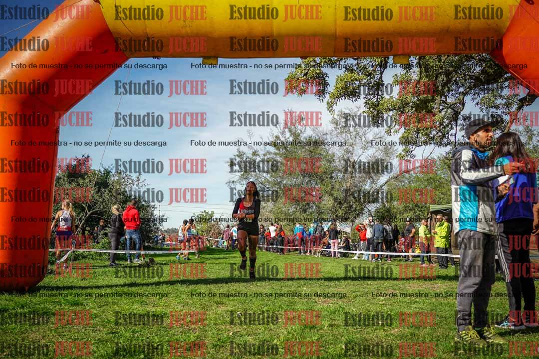 Fotos de la llegada del cross de 6000 m