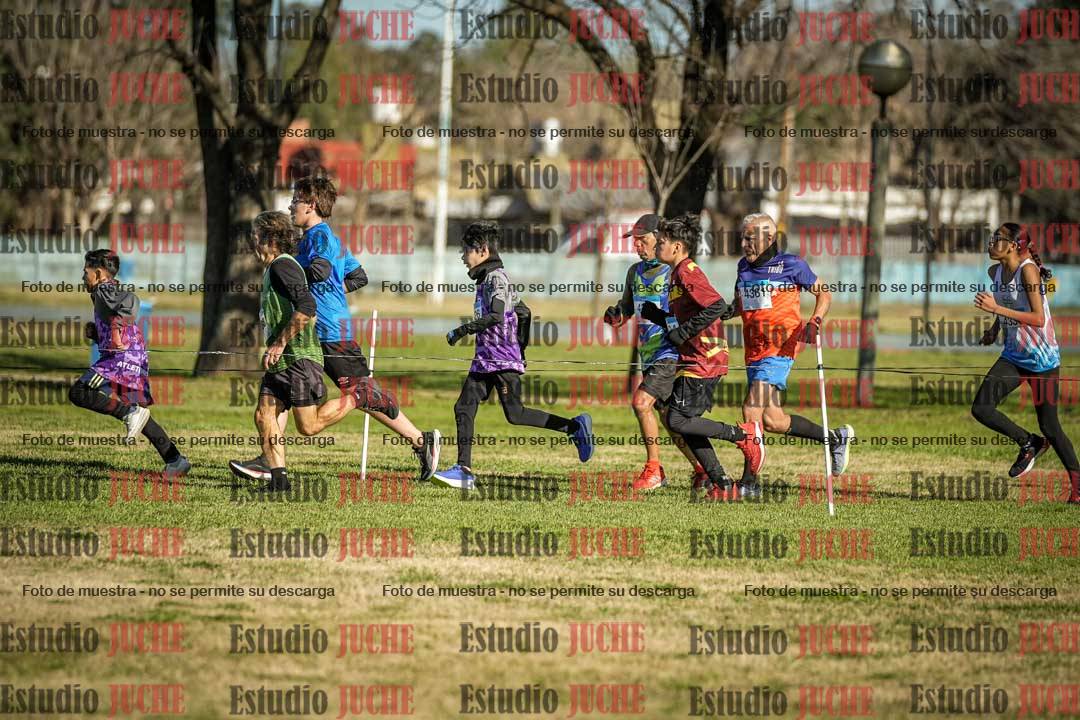 Fotos en el circuito