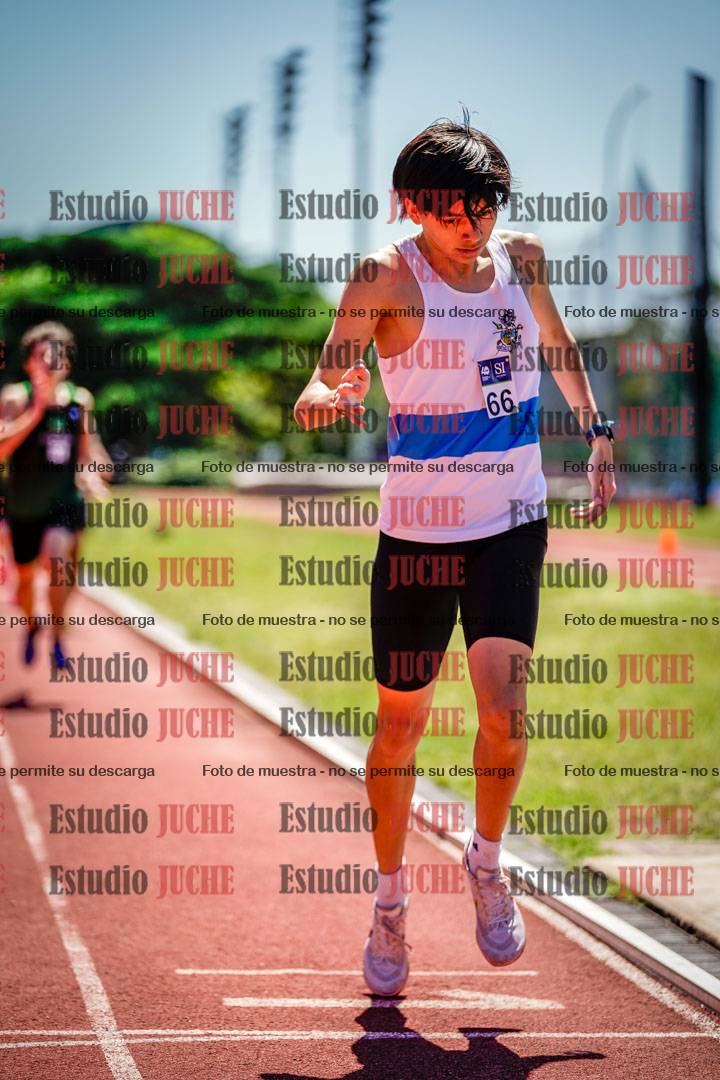 Fotos de los 800 m llanos de varones